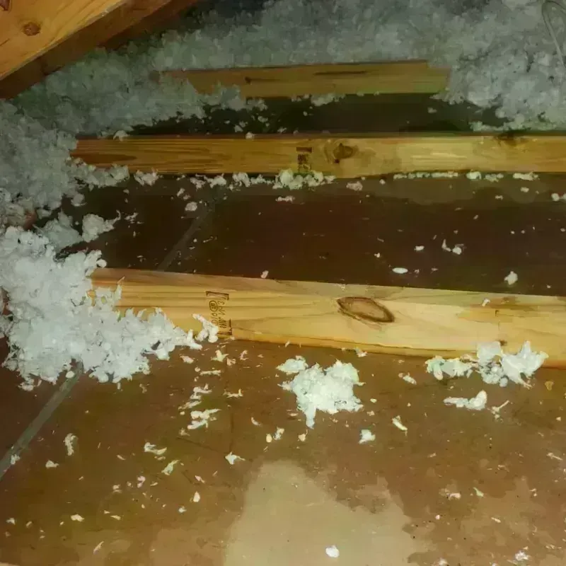 Attic Water Damage in Ada, MN